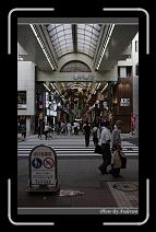 IMG_3361 * 600 x 966 * (285KB)