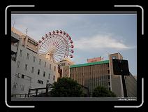 IMG_3364 * 900 x 644 * (263KB)