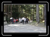 IMG_3365 * 900 x 644 * (288KB)