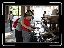 IMG_3376 * 900 x 644 * (285KB)