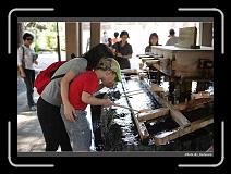 IMG_3378 * 900 x 644 * (281KB)