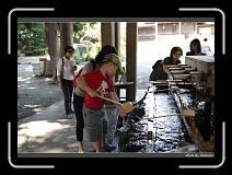 IMG_3380 * 900 x 644 * (280KB)