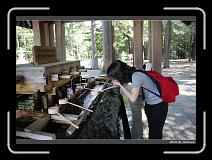IMG_3387 * 900 x 644 * (280KB)