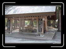IMG_3391 * 900 x 644 * (297KB)