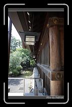 IMG_3398 * 600 x 966 * (299KB)