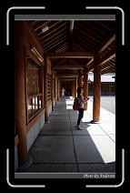 IMG_3427 * 600 x 966 * (266KB)