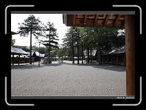 IMG_3428 * 900 x 644 * (293KB)