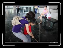 IMG_3489 * 900 x 644 * (286KB)
