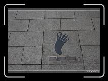 IMG_3536 * 900 x 644 * (291KB)