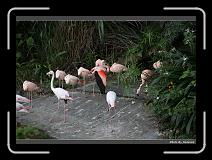 IMG_3546 * 900 x 644 * (286KB)