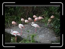 IMG_3547 * 900 x 644 * (294KB)