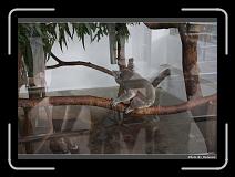 IMG_3557 * 900 x 644 * (287KB)
