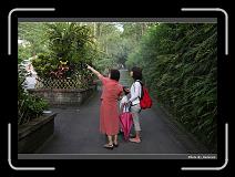 IMG_3561 * 900 x 644 * (285KB)