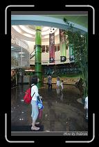 IMG_3564 * 600 x 966 * (298KB)