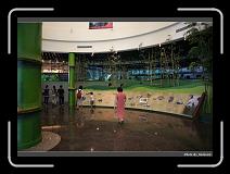 IMG_3566 * 900 x 644 * (293KB)