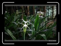 IMG_3569 * 900 x 644 * (286KB)