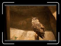 IMG_3578 * 900 x 644 * (258KB)