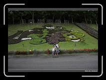 IMG_3584 * 900 x 644 * (289KB)