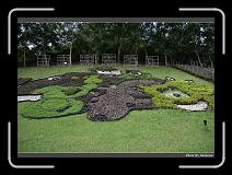 IMG_3586 * 900 x 644 * (294KB)