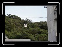 IMG_3591 * 900 x 644 * (286KB)