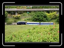 IMG_3627 * 900 x 644 * (297KB)