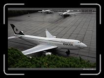 IMG_3665 * 900 x 644 * (272KB)