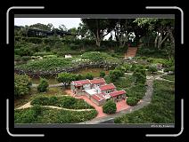 IMG_3684 * 900 x 644 * (300KB)