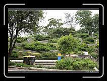 IMG_3693 * 900 x 644 * (292KB)