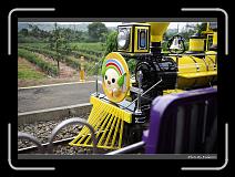 IMG_3711 * 900 x 644 * (296KB)