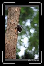 IMG_3712 * 600 x 966 * (275KB)