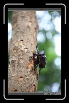 IMG_3715 * 600 x 966 * (256KB)