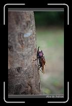 IMG_3719 * 600 x 966 * (269KB)