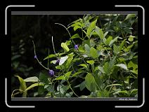 IMG_3991 * 850 x 608 * (241KB)