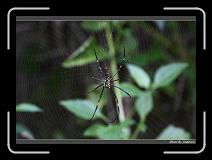 IMG_4021 * 850 x 608 * (248KB)