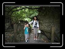 IMG_4201 * 850 x 608 * (240KB)
