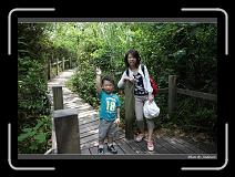 IMG_4203 * 850 x 608 * (244KB)