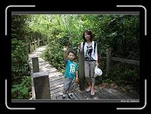 IMG_4204 * 850 x 608 * (249KB)