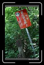 IMG_4207 * 566 x 910 * (246KB)