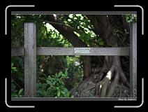 IMG_4209 * 850 x 608 * (223KB)