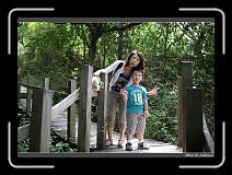 IMG_4214 * 850 x 608 * (247KB)