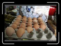 IMG_4351 * 850 x 608 * (235KB)