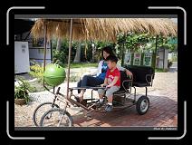 IMG_4382 * 850 x 608 * (243KB)
