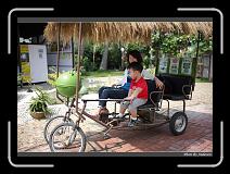 IMG_4383 * 850 x 608 * (239KB)