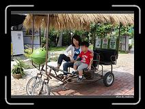 IMG_4384 * 850 x 608 * (247KB)