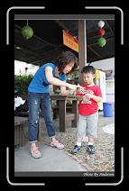 IMG_4403 * 566 x 910 * (243KB)