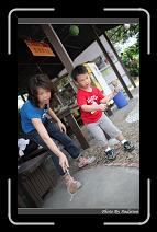 IMG_4405 * 566 x 910 * (235KB)