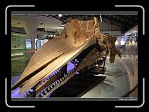 IMG_4461 * 850 x 608 * (240KB)