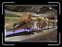 IMG_4462 * 850 x 608 * (233KB)