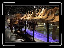 IMG_4465 * 850 x 608 * (242KB)