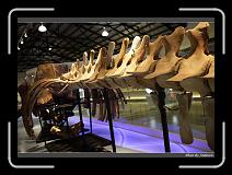 IMG_4466 * 850 x 608 * (244KB)
